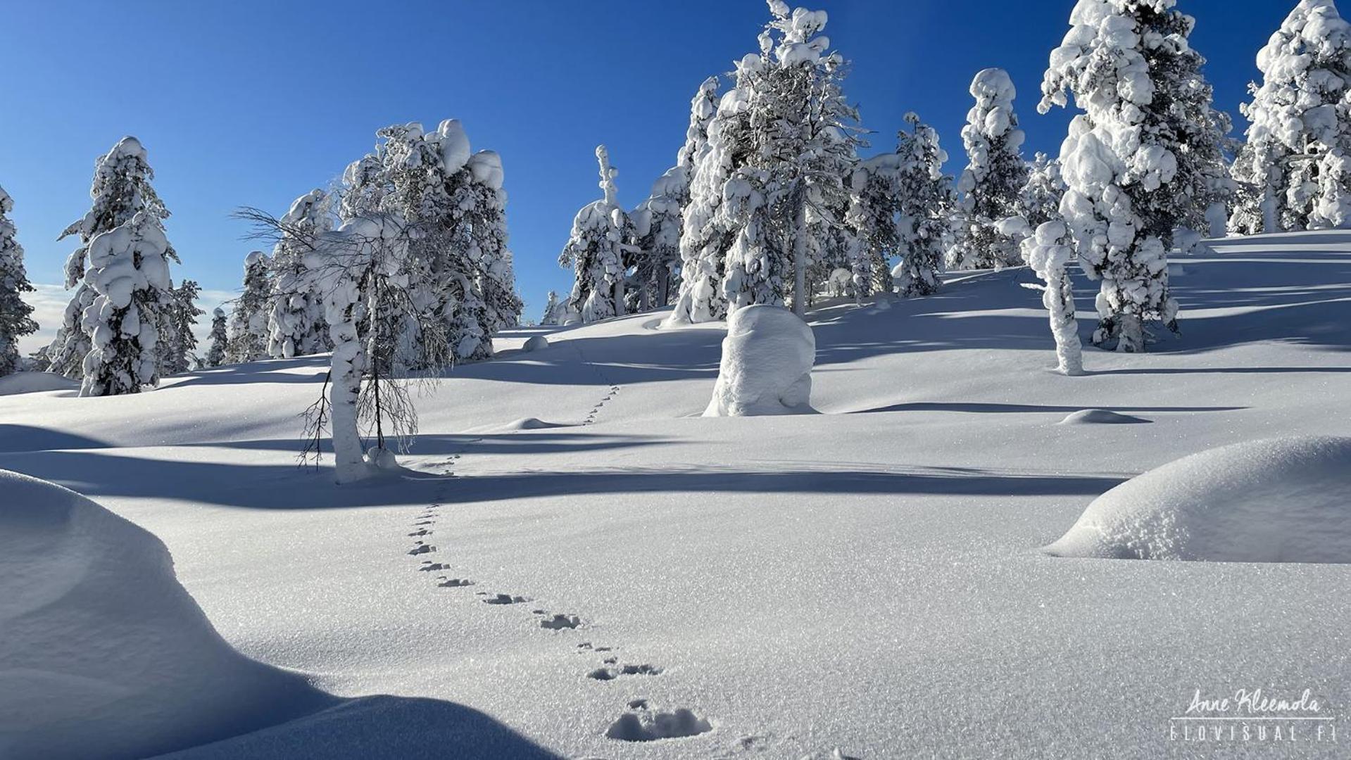 Milis Chalet Ylläsjärvi Esterno foto